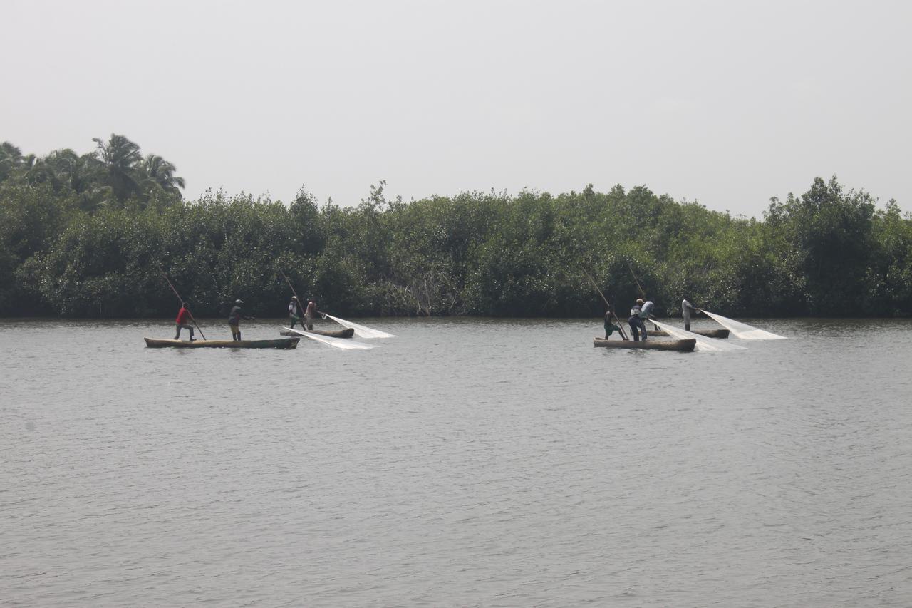 Natura Luxury Lodge Ouidah Luaran gambar